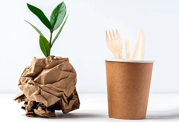 The Rise of Compostable Food Packaging: A Sustainable Future